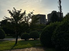-唐城墙遗址公园