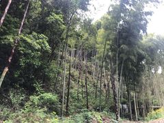 -宁海安岚·南溪阁全日餐厅