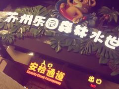 -苏州乐园森林水世界