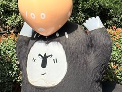 -ZOO COFFEE动物园咖啡(红山森林动物园店)