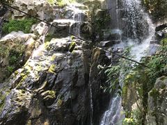 -藏龙百瀑风景区