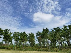 -春花秋色城市公园