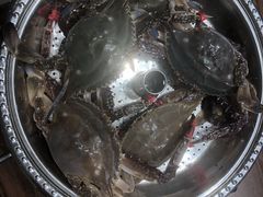 飞蟹-钱库里海鲜自助(星海广场店)