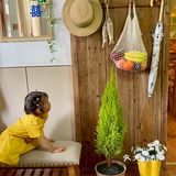 找个“恬静小屋”喝下午茶☕️