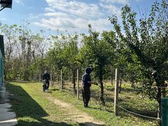 -兴芮温泉度假区