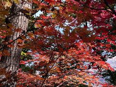 -九鼎铁刹山风景区