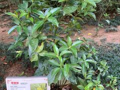 -广州神农草堂中医药博物馆