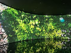 -中国湿地博物馆