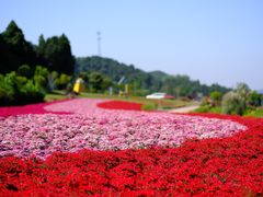 -中国香山·寿香谷