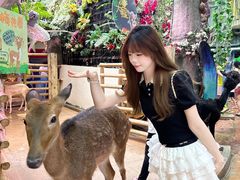-正佳雨林生态植物园