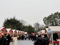 -安仁古镇