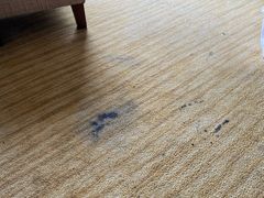 -成都世纪城假日酒店-西楼