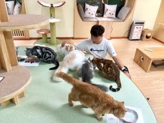 -猫和宫(六道口店)