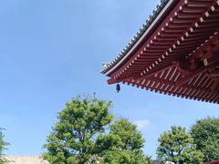 -浅草寺