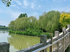 -塘沽森林公园