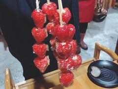 -果松木炭酸菜铜火锅·外婆参鸡汤