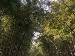 -苏州环秀晓筑养生度假村