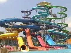 -重庆海昌加勒比海水世界
