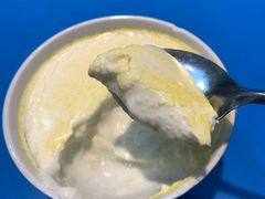 德禄酸奶-德禄酸奶(莫家街店)