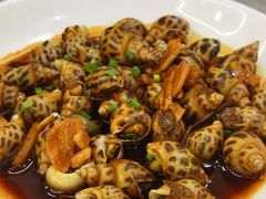 酱爆花螺-阿毛饭店(和义路店)