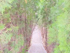-龙口南山旅游景区