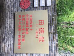 iphone_upload_pic-田德能咖啡博物馆