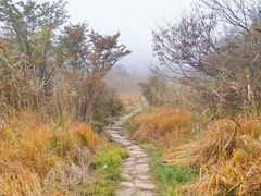 -浙西天池景区