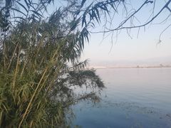 -西昌邛海湿地