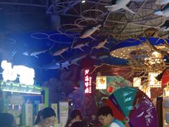 -烟台海昌鲸鲨海洋公园