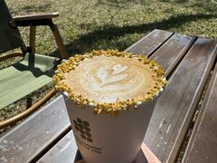 -DECAMERON十日谈(卓悦汇店)