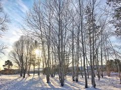 -北极村旅游风景区