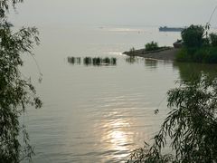 -巴陵全鱼席(湖南老字号汴河街店 )