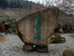 -香雪海