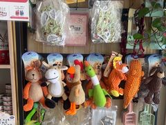 -中农大我爱我爱24h动物医院·中医针灸·猫专科·骨科医疗中心(双井店)