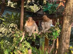 -广州长隆野生动物世界