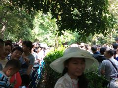 -韶山毛泽东同志故居