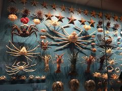 -贝林大翅鲸简餐厅(国家海洋博物馆店)