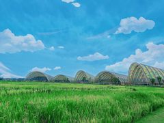 -中国天府农业博览园