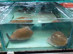 -班赞海鲜市场