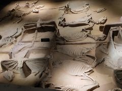 -洛阳周王城天子驾六博物馆