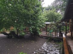 -乐领拈花溪·林涧食韵