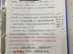-贝林动物诊所