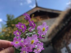 -田德能咖啡博物馆