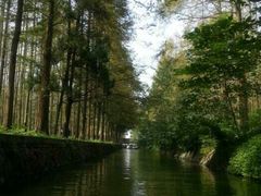 android_upload_pic-水杉园