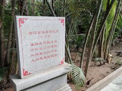 -龙达温泉生态城