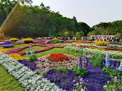-深圳仙湖植物园