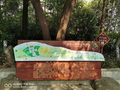 -成都市活水公园