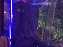 -质烤烤物·活烤海鲜(质烤总店)