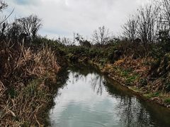 -白鹭湾湿地公园