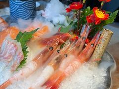 -森味薪火烧•烧鸟居酒屋•日本料理(望京店)